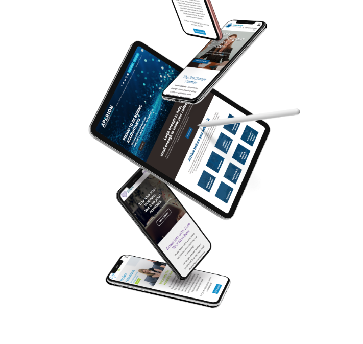 Why accountants & bookkeepers choose Bizink