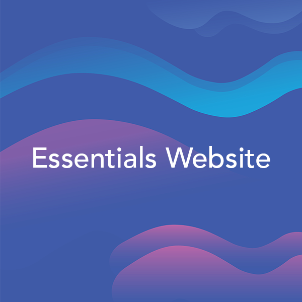 Essentials Website V1 - Bizink